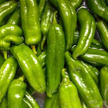 Capsicum Mix Capsicum spp. seeds for garden planting