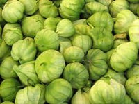 Green Tomatillo Physalis ixocarpa seeds for planting in kitchen garden