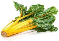 Bright Yellow – Swiss Chard Seed