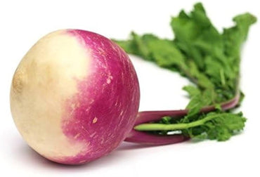 Slicemaster Vegetable seeds – perfect for fresh slicing vegetables