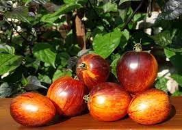 Gargamel Vegetable Seeds for Planting - 100 pcs