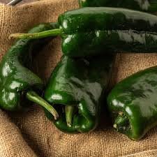 Capsicum Capsicum spp. seeds for garden planting