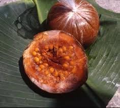 Patinoi Borojoa Seeds for Rare, Exotic Fruit Trees 100 pcs