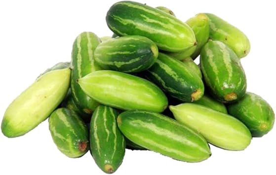 Ivy Gourd Coccinia grandis seeds for garden planting