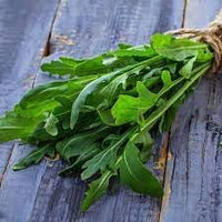 Olivetta Perennial Plant Seeds for Planting, Heirloom, Non-GMO, 100