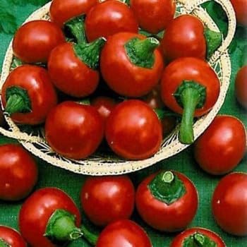 Ciliegia Picante Vegetable Seeds for Planting - 100 pcs