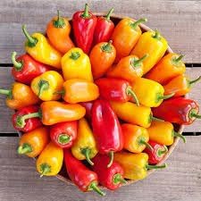 Sweet Pepper Seeds for Planting - 100 pcs