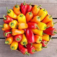 Sweet Pepper Seeds for Planting - 100 pcs