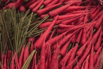 Carrot Vegetable Seeds for Planting - 100 pcs