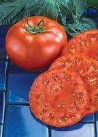 Red Tomato Beefmaster Vegetable Seeds for Planting heirloom & Non-GMO Seeds
