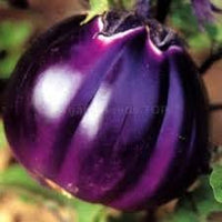 Eggplant Vegetable Seeds for Planting - 100 pcs