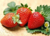 Strawberry Seeds for Planting - Organic, Heirloom, Non-GMO seeds for Home Garden