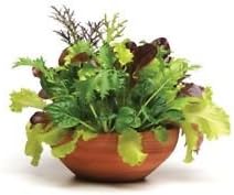 Mixed Gourmet Vegetable Seeds for garden planting