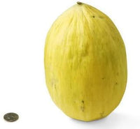 Yellow Cucumis Melo Fruit Seeds - Sweet and Refreshing Melons for Your Garden 100 pcs