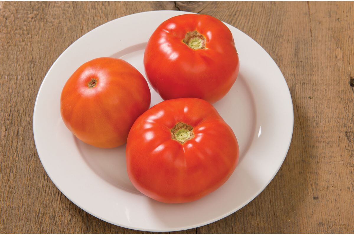 Skyway – Organic Tomato Seed