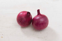 Red Hawk – Onion Seed