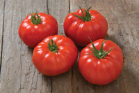 Marbonne – Tomato Seed