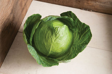 Primo Vantage – Cabbage Seed