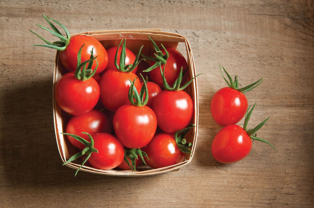 Cherry Bomb – Organic Tomato Seed