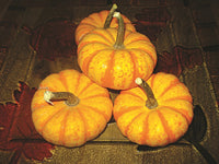 Spark – Pumpkin Seed