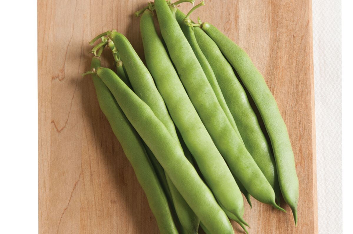 Dulcina – Bean Seed