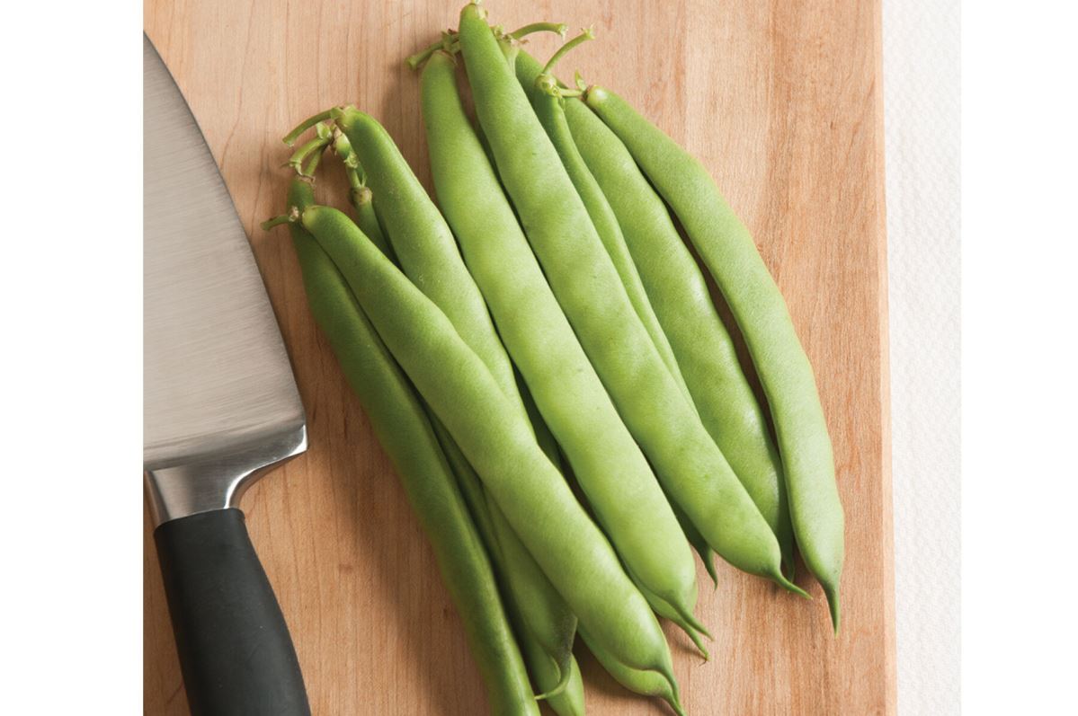 Dulcina – Bean Seed