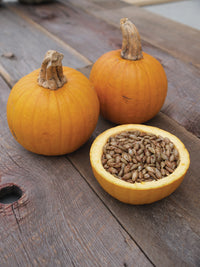 Naked Bear – Pumpkin Seed