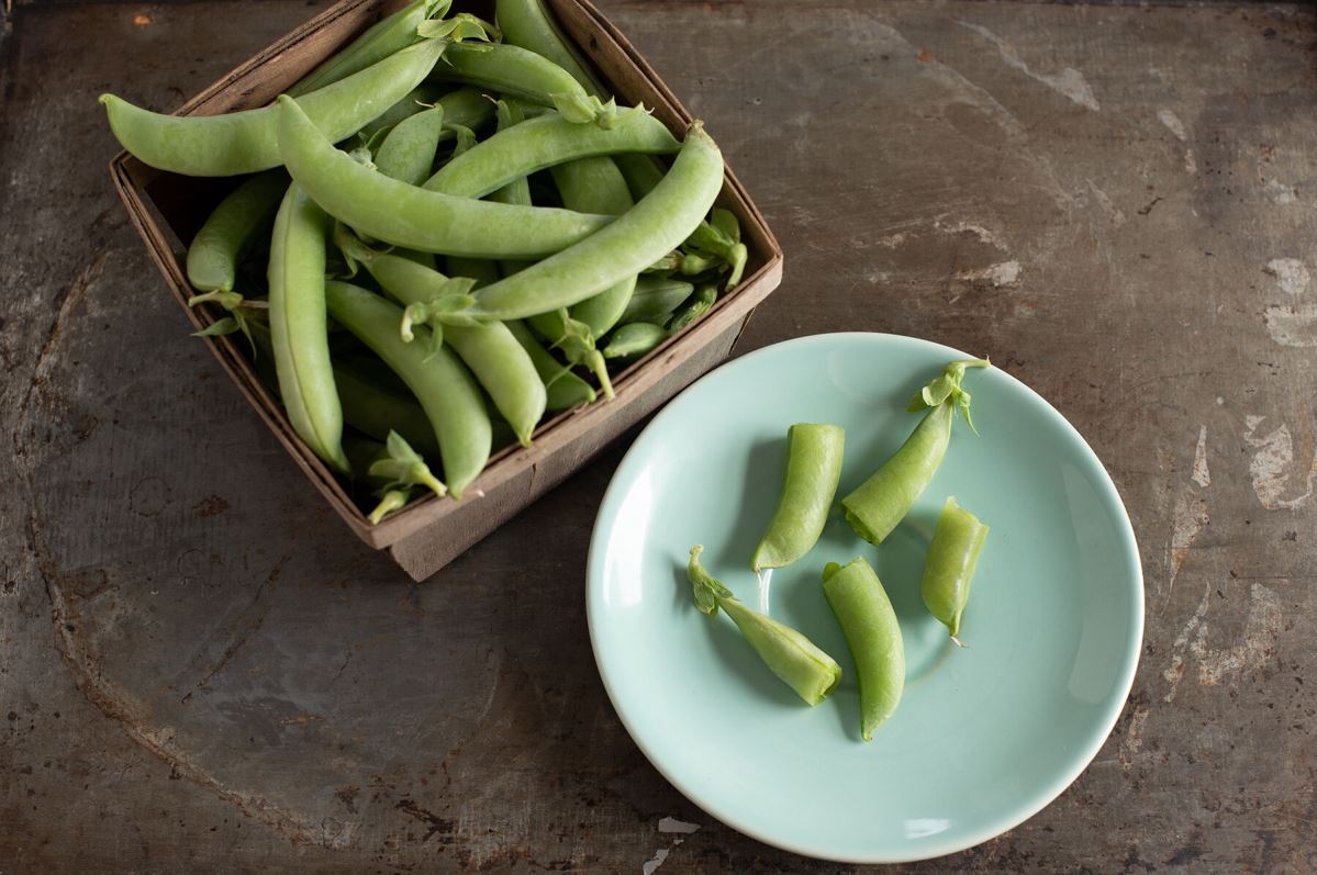 PLS 141 – Organic Pea Seed