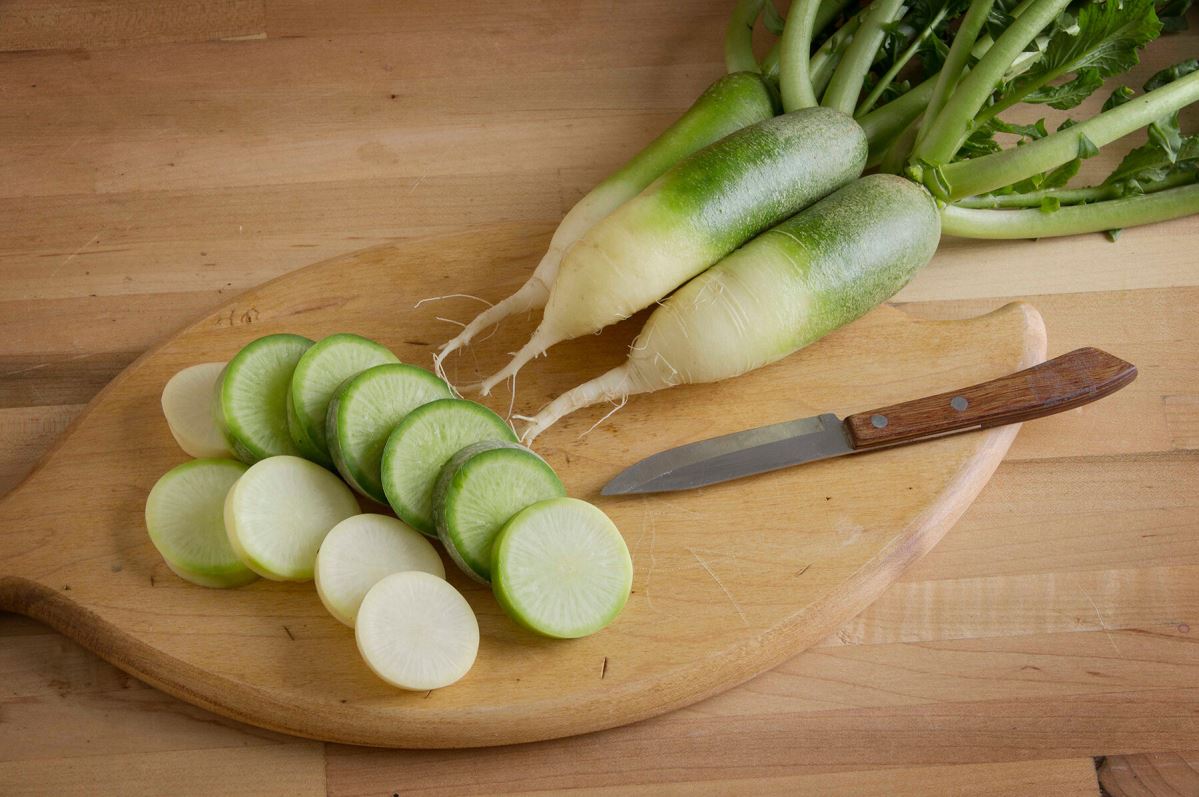Green Luobo Improved – Radish Seed
