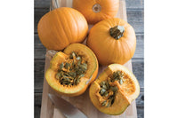 Naked Bear – Treated Pumpkin Seed