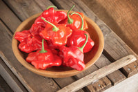 Mad Hatter Pepper Seeds (Bishop’s Crown)