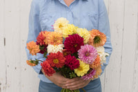 Giant Hybrid Mix – Dahlia Seed