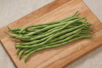 Fortex – Bean Seed