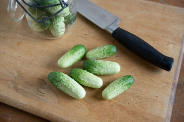 Quirk – Cucumber Seed