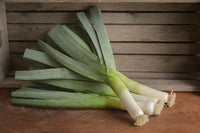 Rally – Organic Leek Seed