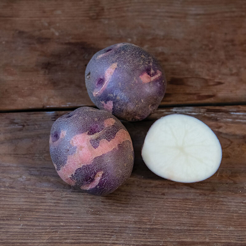 Purple Viking – Organic Seed Potatoes