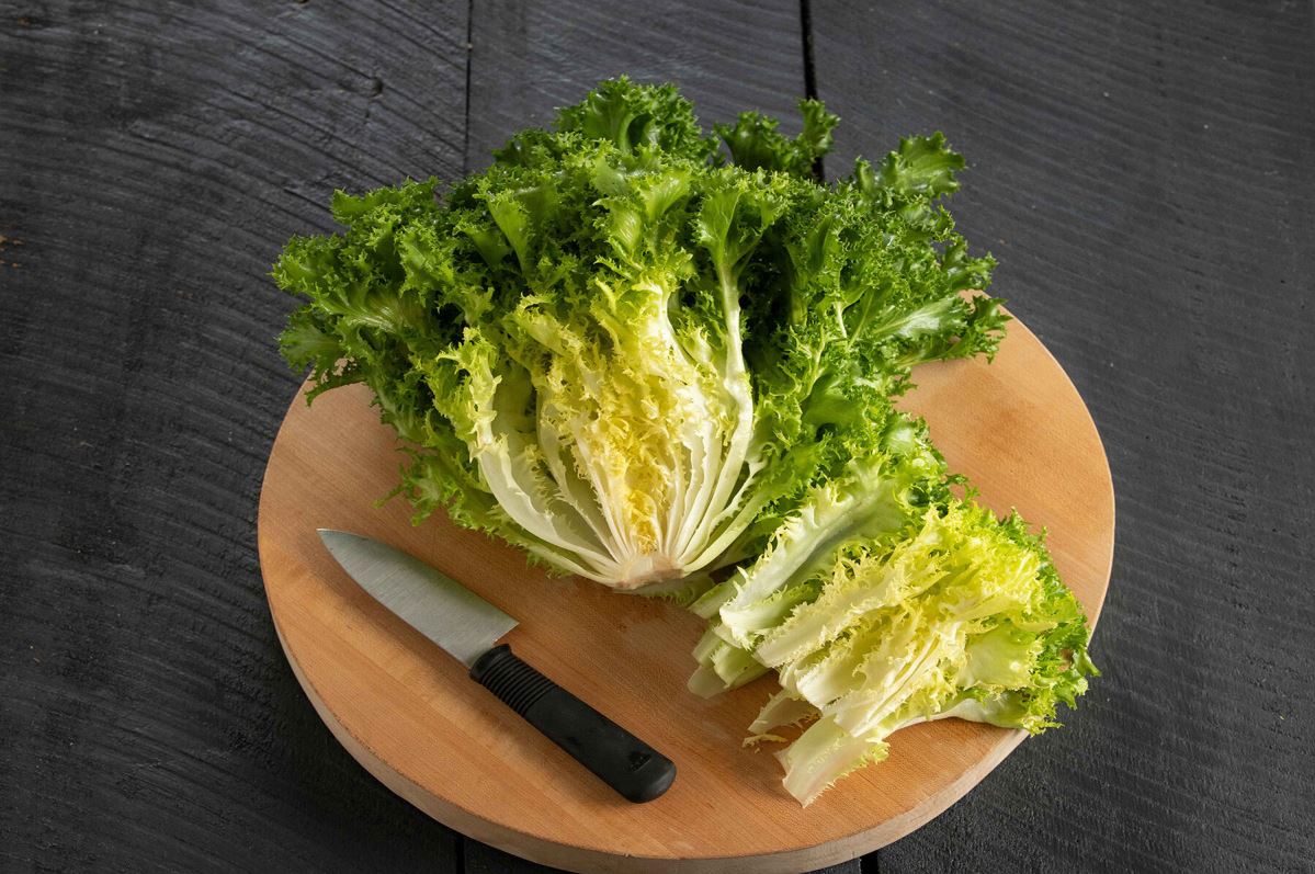 Curlesi – Endive Seed