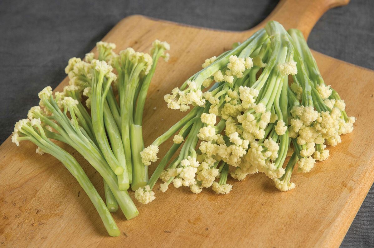 Fioretto 70 – Sprouting Cauliflower Seed