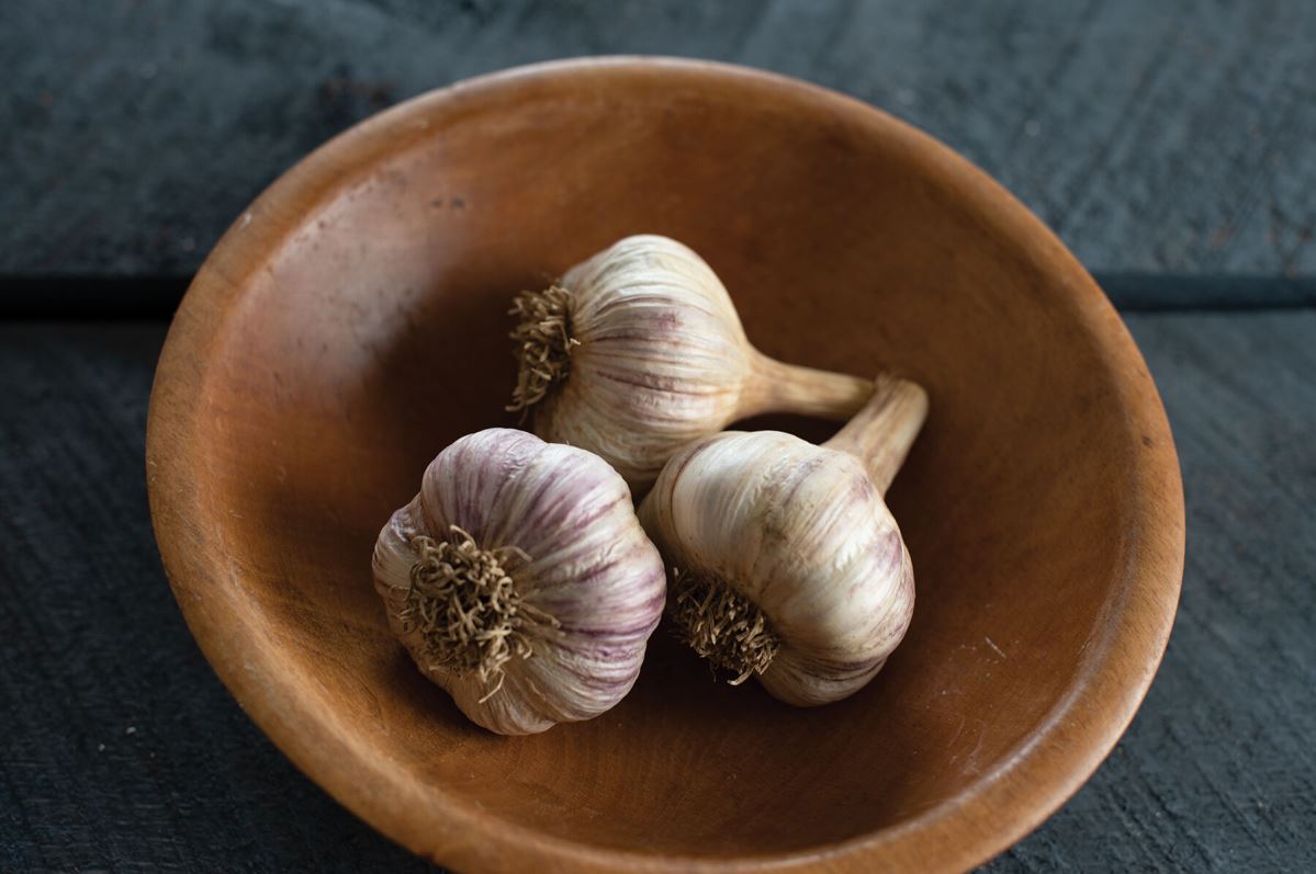 Chesnok Red – Organic Garlic Bulbs