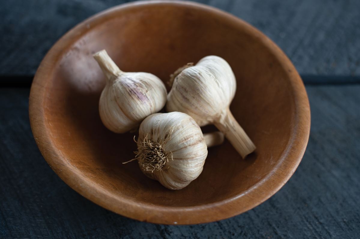 German Red – Organic Garlic s
