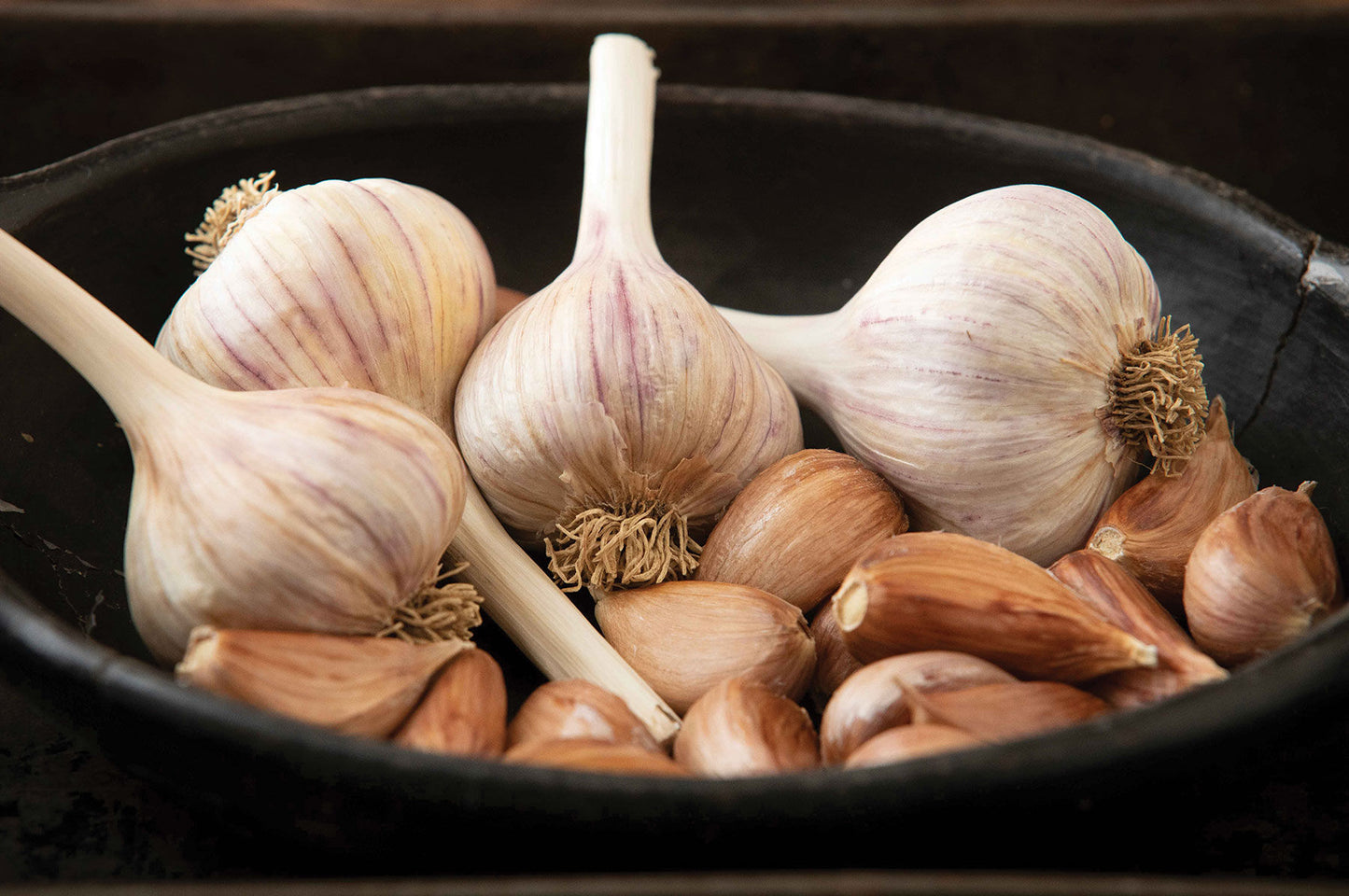 German Red – Garlic Bulbs