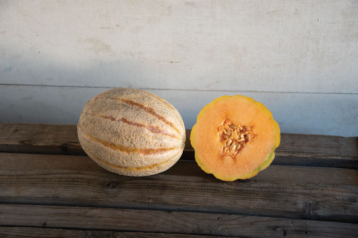 Hannah’s Choice – Melon Seed