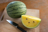 Sureness – Melon Seed