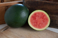 Chubbiness – Watermelon Seed