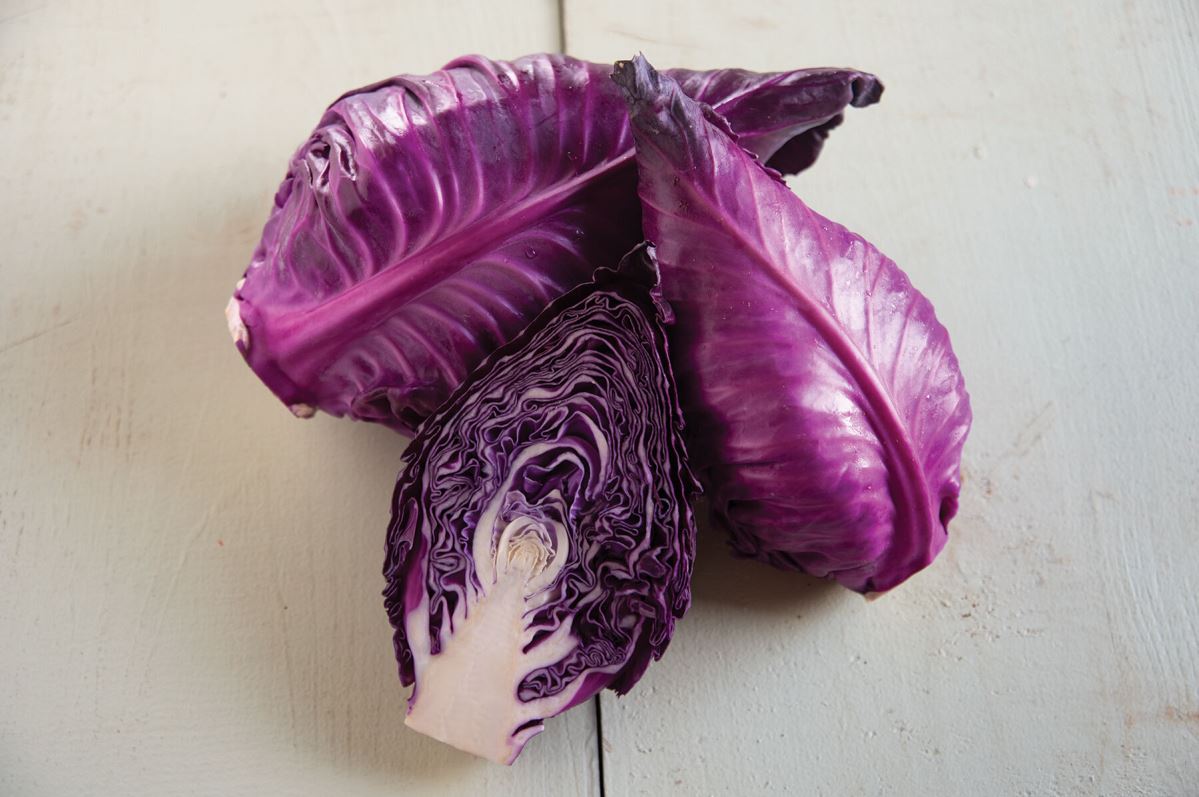 Candy Red – Cabbage Seed