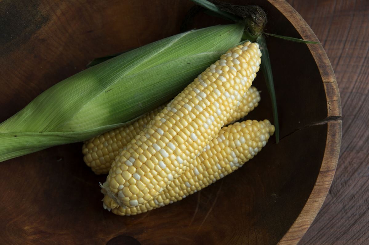 Enchanted – Organic Corn Seed