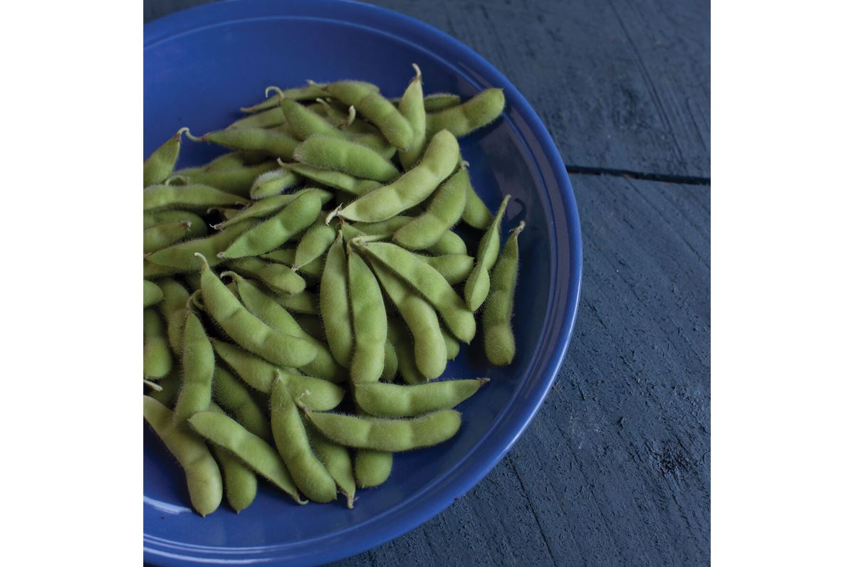 Karikachi – Soybean Seed