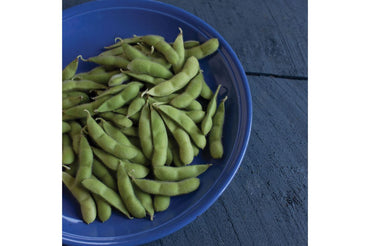 Karikachi – Soybean Seed