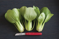 Li Ren Choi – Bok Choy Seeds
