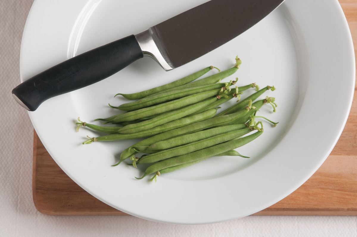 Orient – Bean Seed